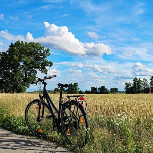 Fahrrad am Feldrand