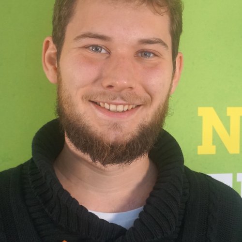 Niklas Nienaß, Kandidat zur EU-Wahl